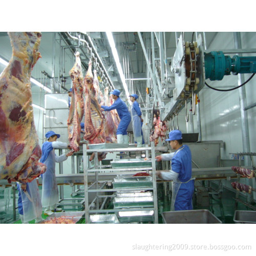 Cow Slaughterhouse